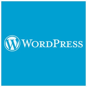 WordPress is our CMS of choice